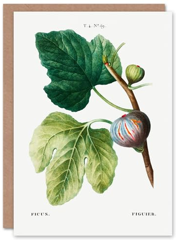 Artery8 Pierre-Joseph Redouté Art Card Vintage Botanical Ficus Carica Fig
