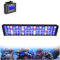 PopBloom-WiFi Luz LED para Acuario Marino, Lámpara de Acuario de Espectro Completo para Coral de Arrecife SPS/LPS Luz de Pecera (60W (Para 50-70cm))