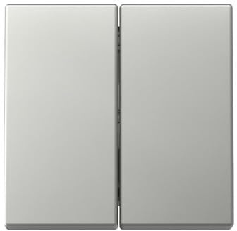 Gira 3295600 Wippe 2f System 55 Edelstahl