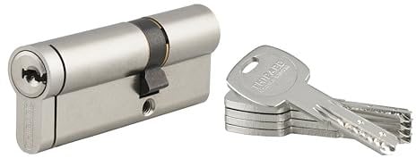 Cylindre de Serrure 35x50mm TRANSIT 2 - Système de Sécurité Finition Nickel - Usage Porte d'Entrée - Fonction Urgence - Fabriqué en France - Livré avec 5 Clés Longues - THIRARD
