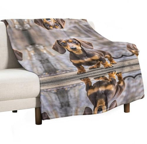 Pad Dackel-Decke, weiche Mikrofaser, Bettdecken, leichte, gemütliche Flanelldecke, super warm, Überwurfdecke für Erwachsene, Schlafzimmer, Couch, Sofa, Raumdekoration, Geschenke, 167,6 x 228,6 cm