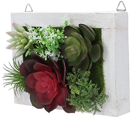 MAGICLULU Zimmerpflanze Zubehör 1pc Wort Fotorahmen Künstliche Sukkulente Wanddekoration Und