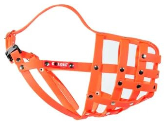 Colori Muzzleking Dackel 1 - orange