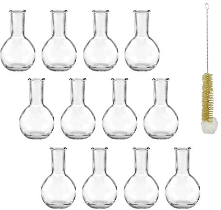 mikken Lot de 12 Petits vases-Bouteilles en Verre 10 cm avec écouvillon Transparent