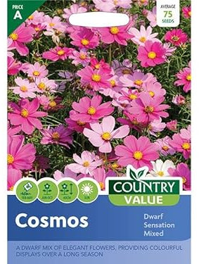 Country Value Cosmos Dwarf Sensation Mixed Flower Seeds