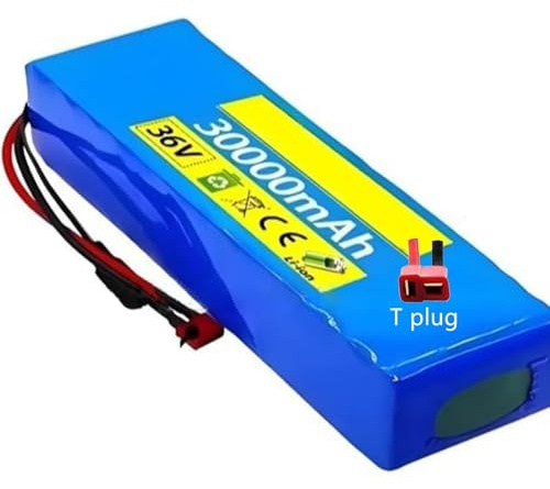 Elektrische Fahrrad Batterie 36V 30Ah Batterie Mit 42 2A Ladegerät Elektroroller Akku 10S2P Ebike Batterie Für 200W 350W 500W 750W Motorrad Roller Motor T Plug,36V 30Ah
