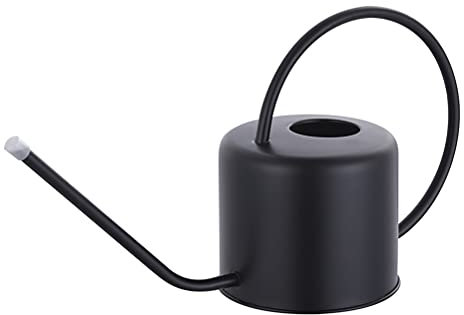 DOITOOL 1. Arrosoir en Acier Inoxydable avec Bec Long 3 L
