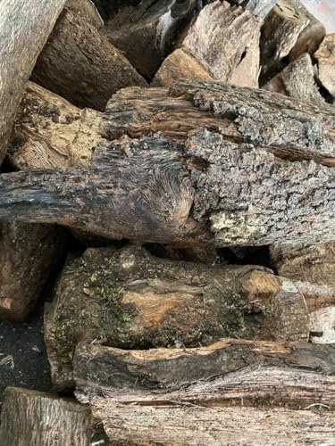 Mugar- Leña de Encina Seca Lista para Encender Chimeneas y Barbacoas- Producto de Poda Controlada - Varios Tamaños de Caja (20 kg)