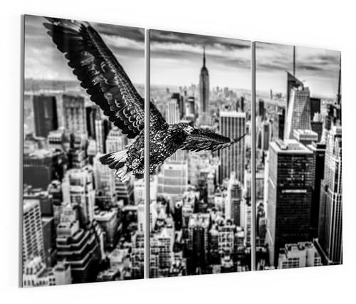 DEQORI Glasbilder Echtglas | Motiv Über den Dächern | horizontal 3-teilig 3x50x100 cm | große XXL Deko | Wandbilder für Wohnzimmer, Schlafzimmer, Flur & Küche | moderne Wanddeko