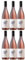Sanziana Pinot Grigio Blush Trocken Roséwein Rumänien inkl. FeinWert E-Book (6 x 0,75l)