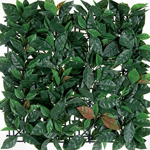 TENAX Künstliche Hecke für die Wand Garten vertikal Typ Photinia Divy 3D Panel Photinia 0,50 x 1 m kombinierbar für Dekoration und Abschirmung
