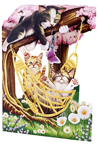 Santoro Schaukelkarte, 3D-Pop-Up-Grußkarte – Katzen in einer Hängematte – für Sie, für Mädchen, für Mama, Geburtstag