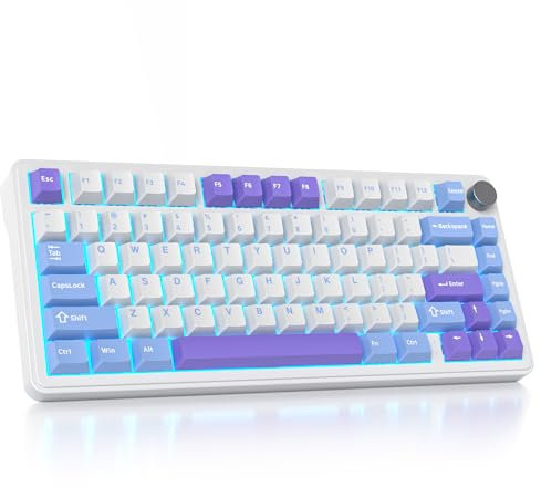SbocKeeb 75% Prozent Tastatur Wireless mit Gasket, TKL Wireless Mechanische Gaming Tastatur Bluetooth/2.4 GHz/USB, America QWERTY, Vorgeschmierte Schalter für PC M75-Starlight