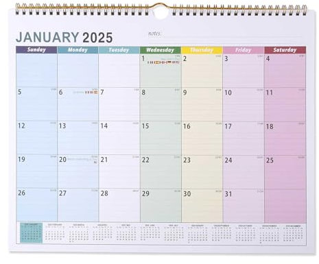 Wandkalender 2024 2025, Monatskalender für die Wand mittelgroßer Wandkalender 2024 2025 Hängekalender für Zuhause Büro Schule