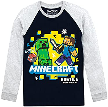 Minecraft Boys Long Sleeved Top , Multicoloured, 9-10 Years