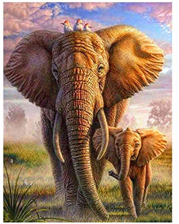 Puzzle 5000 Teile,Puzzle für Erwachsene,Impossible Puzzle, Puzzle farbenfrohes legespiel,Geschicklichkeitsspiel für die ganze Familie-Zwei Elefanten,Erwachsenenpuzzle ab 15 Jahren.-61.61x41.53 Zoll (