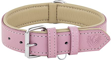 Riparo Hundehalsband, gepolstert, echtes Leder, verstellbar, strapazierfähig (XL: 4,5CM Breit für 53,4CM - 63,5CM Hals, Rosa)