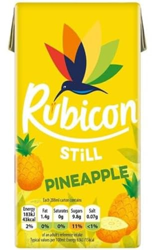 Rubicon Still Pineapple Juice - Made with Real Handpicked Fruit Pineapple - Bold and Intense Tropical Juice Drink - Multipack Fruit Juice Cartons - 27 x 288ml
