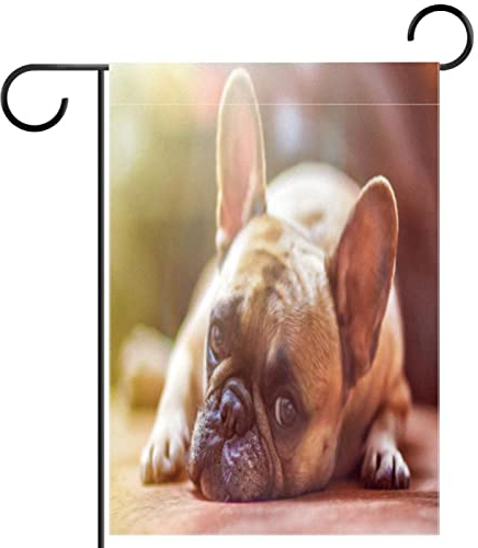 Französischer Bulldogge, liegende Gartenflagge, 30,5 x 45,7 cm, Bauernhaus-Dekoration, Outdoor-Flaggen, doppelseitig, vertikales Banner