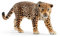 SCHLEICH WILD Life 14769 Realistische Jaguar Figur - Detaillierte Ende Dschungel Wildkatzen Jaguar Figur - Tiere Spielzeug - Tiere Figuren Sets für Fantasievolles Spiel ab 3 Jahren