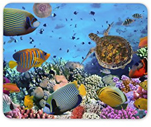Destination Vinyl Ltd Coral Reef Mouse Mat Pad - Fish Aquarium Tropical Sea Fun Gift PC Computer #8475