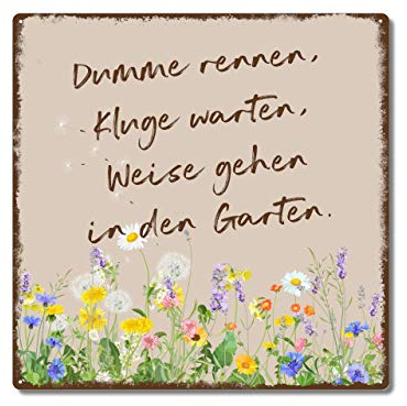 Interluxe Metallschild 20x20cm - Dumme rennen Kluge warten - Schild Gartendeko Entspannen im Garten