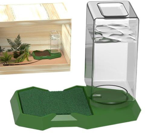 Glasreptilienwasserflasche - Automatische Reptilienfutter, Reptilienwasserfutter, Eidechsenzufuhrzubehör | Terrarium Reptile Wasserspender, Turtle Feeding Acesing Accessoires Für Geckos Frog Eidechsen