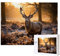 Tiere Hirsch Puzzle 1000 Teile Puzzles Erwachsene, Helle und farbenfrohe Puzzles, Indoor-Puzzle-Kreativspiel zur Entspannung von Erwachsenen und Erziehung oder als Geschenk I-118