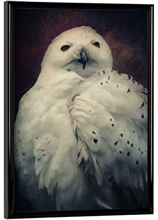 artboxONE Poster mit schwarzem Rahmen 18x13 cm Natur Hedwig - Bild eule eule harry potter
