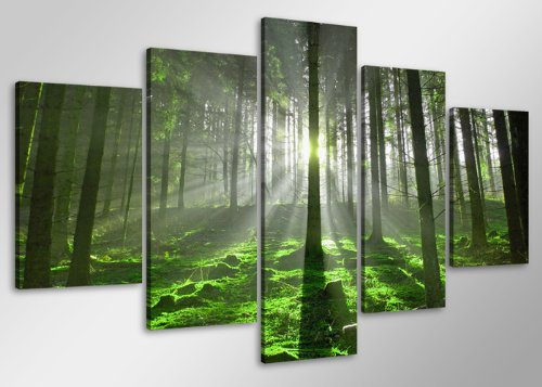 Visario 100 x 50 cm Bild auf Leinwand Wald Baum 6406-SCT deutsche Marke und Lager - Die Bilder/das Wandbild/der Kunstdruck ist fertig gerahmt