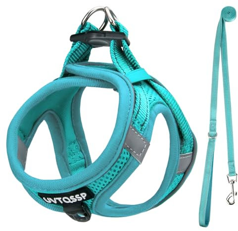 UVTQSSP Hundegeschirr Kleine Hunde mit Leine Gepolstert, Welpengeschirr, Dog Harness Hunde Geschirr Klein, Hellblau S