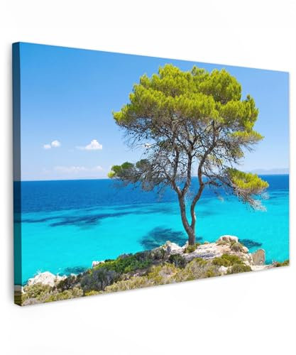 MuchoWow© Bild auf Leinwand Groß 120x80 cm XXL Schlafzimmer Bilder Wand Deko Wohnzimmer Modern Wanddeko Bilderwand Geschenk Strandbilder - Stranddeko - Strandbild - Strand und Meer - Baum - Wattenmeer