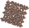 BESPORTBLE 1 Pack Ceramsit Pflanzen Tonkiesel Hydro Pflanzenkeimung Wachsen Drainagesteine ​​für Blumentöpfe Anlage Lehmkugeln Terrakotta Blumenton Blumentopf Blähtonpellets Schiefer