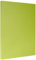Metaltex - Tabla Profesional de Cocina Corte, Polietileno, color Kiwi, 38 x 28 x 1,5 cm