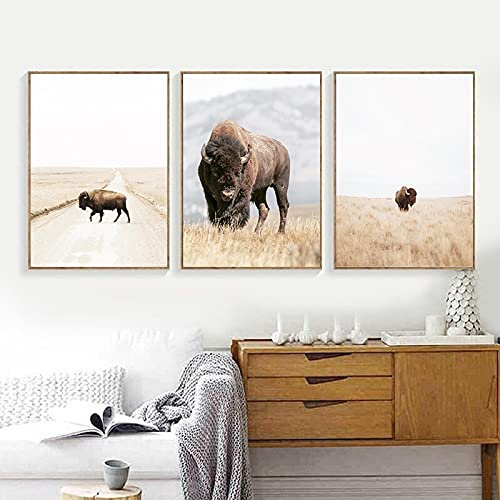 Rumlly Tier Moderne Fotografie Poster Leinwand Malerei, Bison Foto Kunstdruck Bauernhaus Wandbilder Küche Home Room Decor 60x90cmx3 Rahmenlos