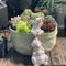 Feaolala Bunny Blumentopf Sukkulente Pflanzer mit Hase Statue Niedliche Tier Geformt Cartoon Pflanzer Töpfe Haus Garten dekorative Blumentopf Kunst Deko Ostern Geschenk (A)