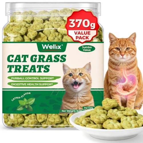 Wellix Cat Grass Treats with Catnip & Salmon - Healthy Cat Treats - 370g | Cat Treats for Indoor Cats. Hairball Control & Digestive Support. for Teeth Cleaning. Kittens Training Snacks
