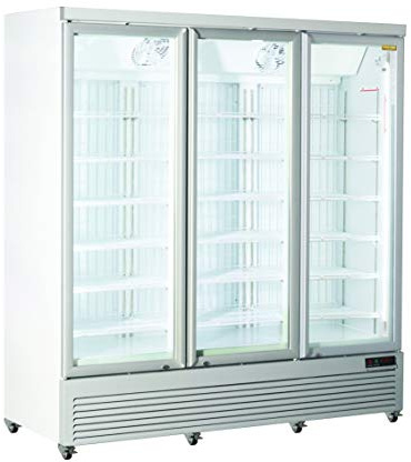 RFG 1900 Congélateur vertical professionnel avec 3 portes en verre à battant