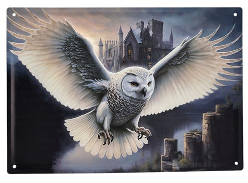 Blechschild Eulen Bote 40 cm - Fantasy Wand Deko Schild Metallschild Gothic Blech Metall Schneeeule Botschaft Relief geprägt