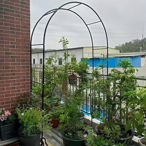 Fitlin Pavillon de Jardin Romantique en Arche de Roses for Plantes grimpantes et légumes(Black,2.3 * 2.5m)