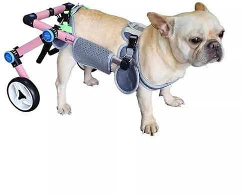 EYRMQWJPC Elldog im Rollstuhl Verstellbarer, Faltbarer Rollstuhl for Hunde und Katzen mit Schutzhülle das hintere Geschirr, mehrere Größen XXXS-XXL(M)