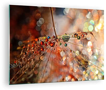 Bilder auf Glas Spinnennetz modern Glasbild 70x50cm Wandbilder Dekoration Wohnzimmer Schlafzimmer Küche Deko Klein Wanddeko Bild im Glas Wand Kunstdruck Art Modern Wall Decor Glasdruck GAA70x50-3774