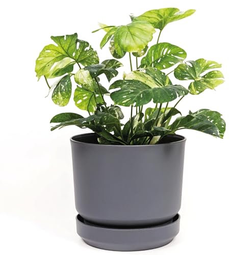 Elly Décor Zylinder-Pflanztopf aus Kunststoff, 20,3 cm, mit selbstbewässerndem Untersetzer und Ablaufloch, leicht und extrem langlebig, 20,3 x 20,3 cm, Grau