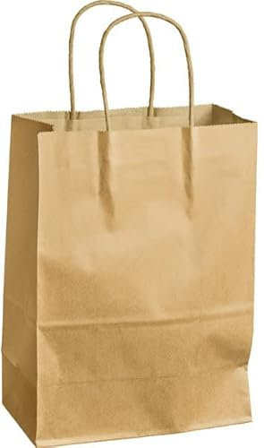 Papiertragetasche XS, 3,5 l, 180mm breit, 240mm hoch, braun
