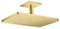 hansgrohe AXOR ShowerSolutions Kopfbrause 460/300 2jet, Deckenanschluss, Farbe: Brushed Brass