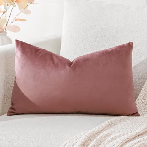 Artscope Samt Kissenbezug Kissenhülle Dekorative Dekokissen Sofakissen Lendenkissen Wurfkissenbezug Sofa Schlafzimmer 40x60cm Marmelade