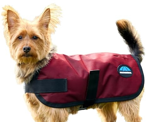 WeatherBeeta ComFiTec Classic Waterproof Dog Coat, Burgundy, 30cm