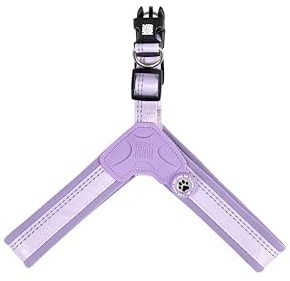 Max & Molly Q-Fit Hundegeschirr Mittelgrosse Hunde mit Gotcha! Smart ID Sicherheitsanhänger, Matrix 2.0 Lavender/XL, Geschirr Hund Gepolstert & Reflektierend - Komfort für deinen treuen Begleiter