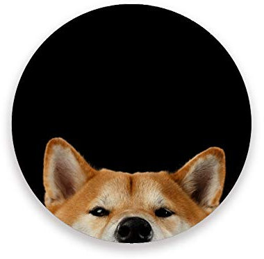 Vibiliyou Saugfähige Untersetzer für Getränke, 4 Stück, mit Korkboden, lustige Untersetzer mit Shiba Inu Hund, rund, Keramik-Stein-Untersetzer für Holztisch, Einweihungsgeschenk