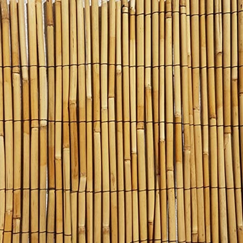 VERDELOOK Arella Cina Premium Quality in cannette Bamboo pelato con Diametro 6 mm, 1x3 m, bambù per recinzioni e Decorazioni